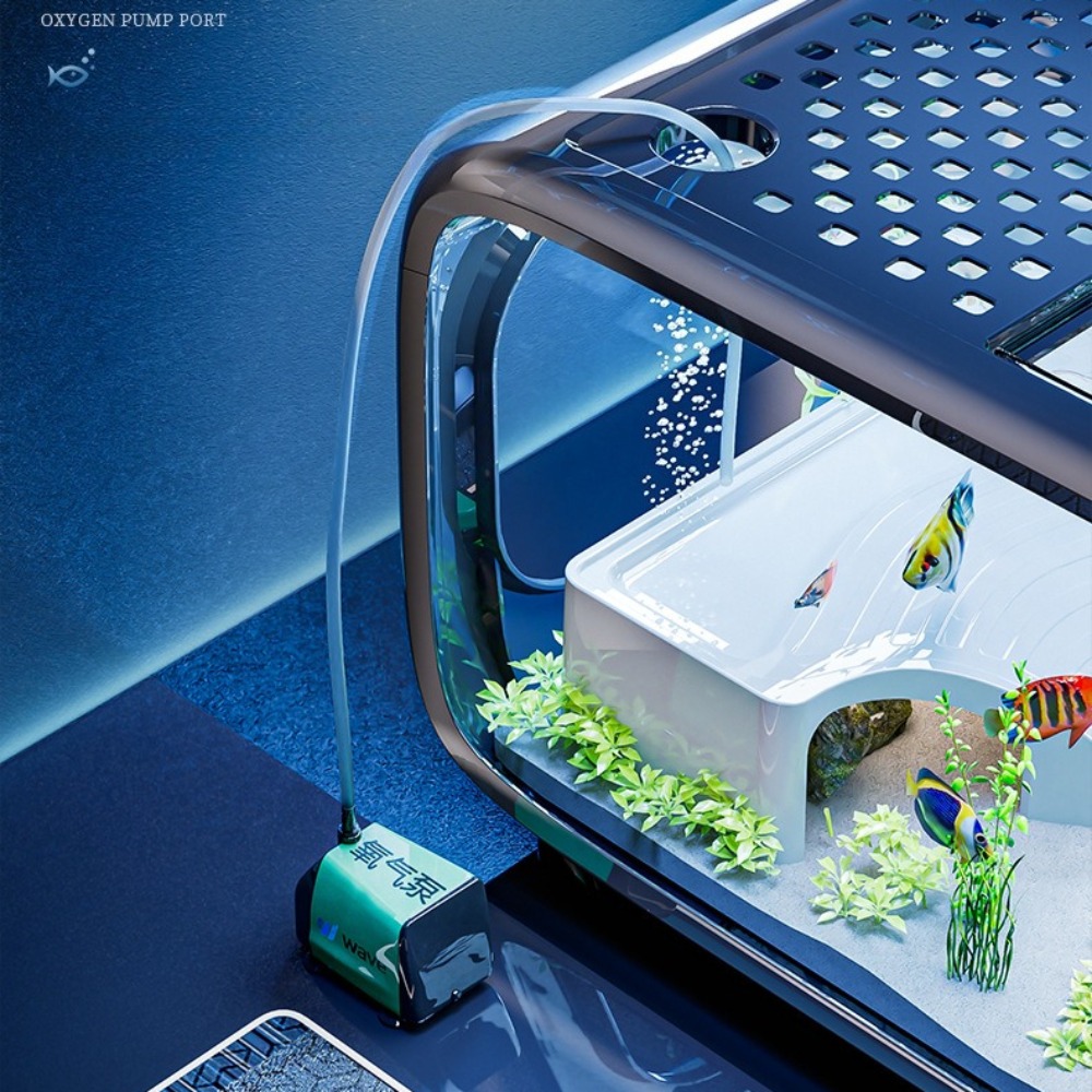 透明な高級水槽、耐久性のあるリビングルーム装飾、小型金魚水槽 - Aquarium Fish Only のレビューと価格