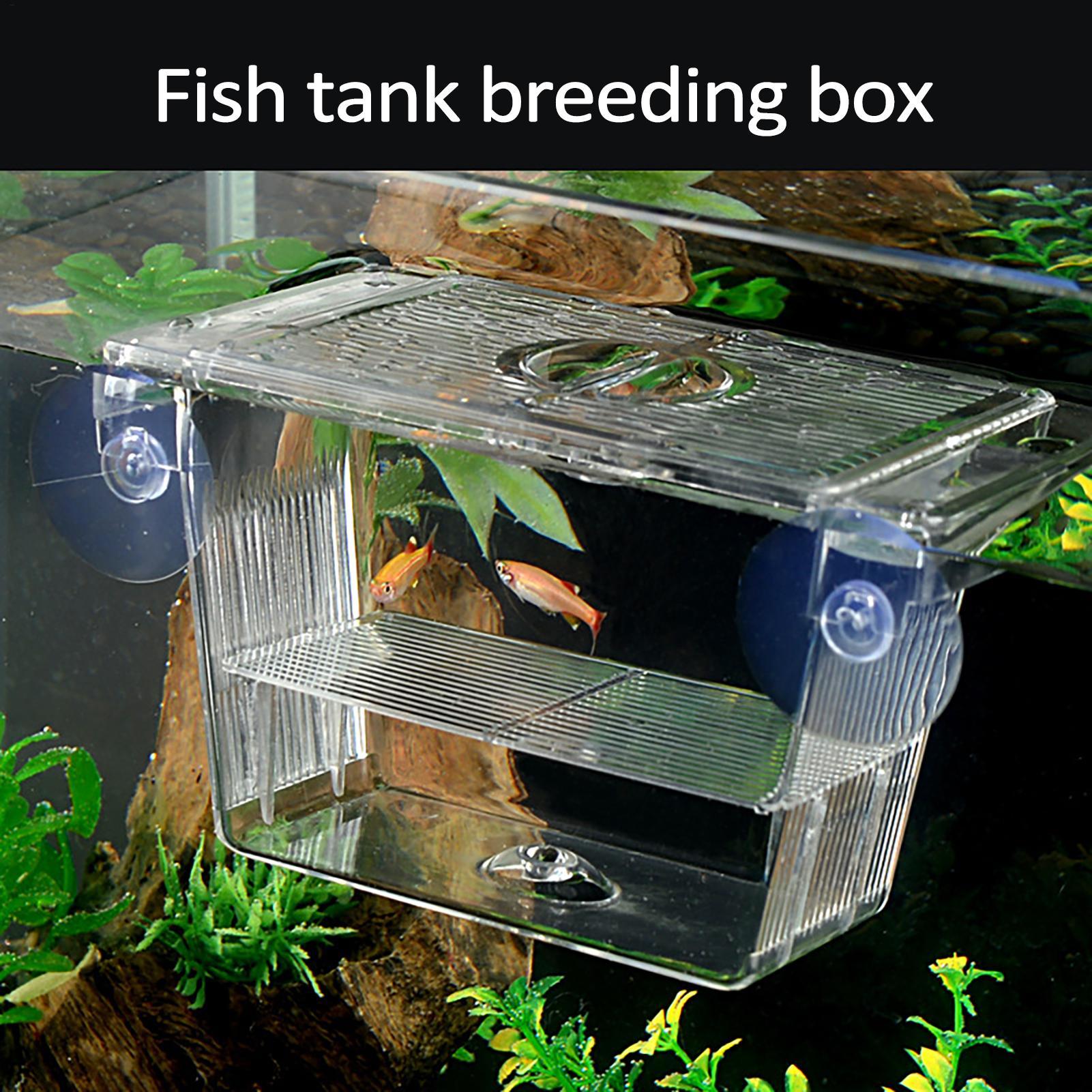 水槽用育成ボックス 透明魚隔離ボックス アクリル孵化場 イン - Aquarium Fish Jar のレビューと価格