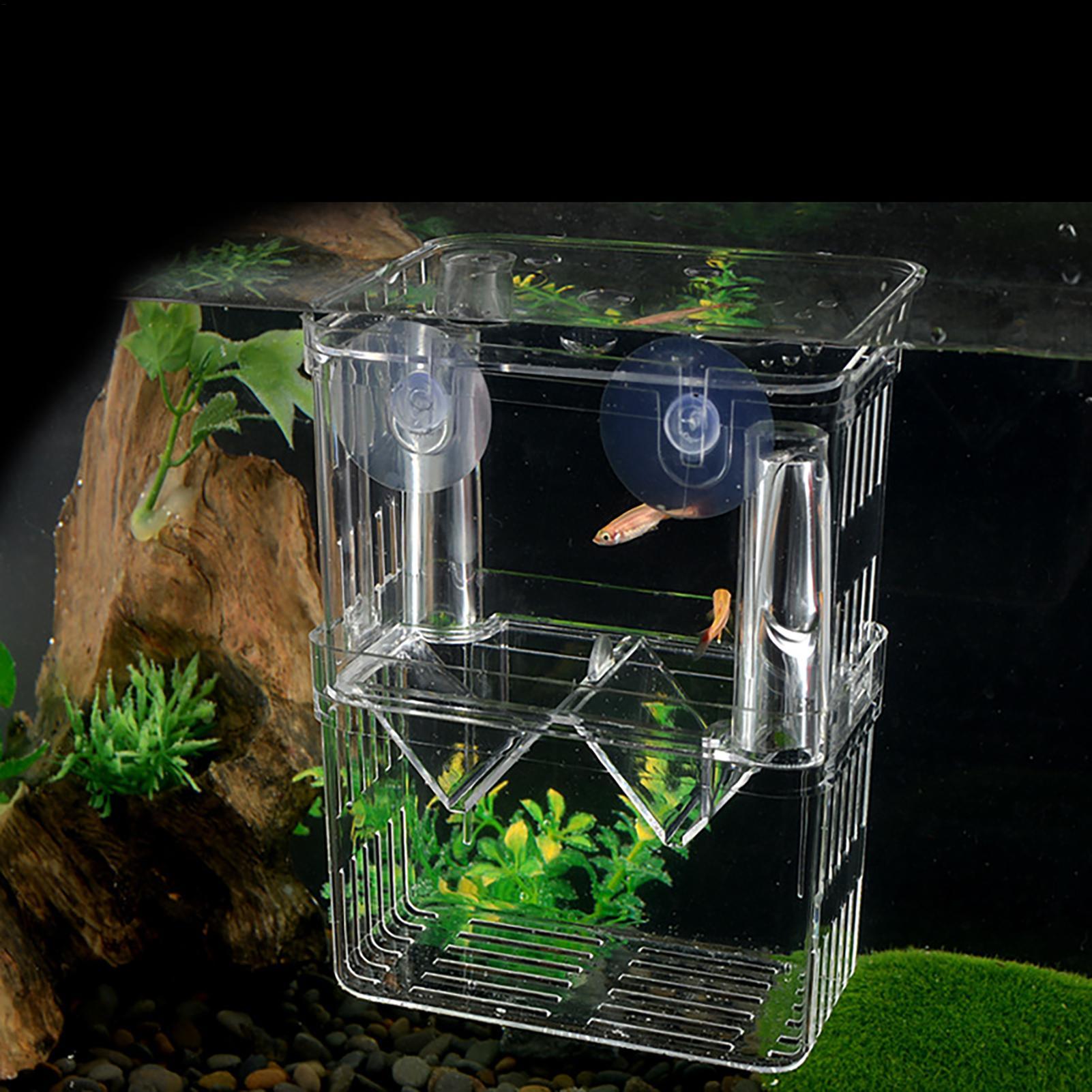 水槽用育成ボックス 透明魚隔離ボックス アクリル孵化場 イン - Aquarium Fish Jar のレビューと価格