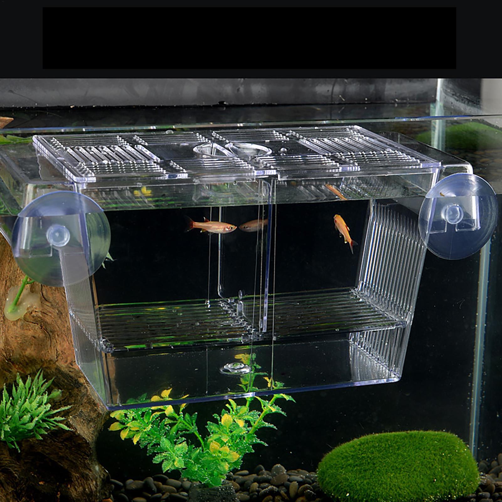 水槽用育成ボックス 透明魚隔離ボックス アクリル孵化場 イン - Aquarium Fish Jar のレビューと価格