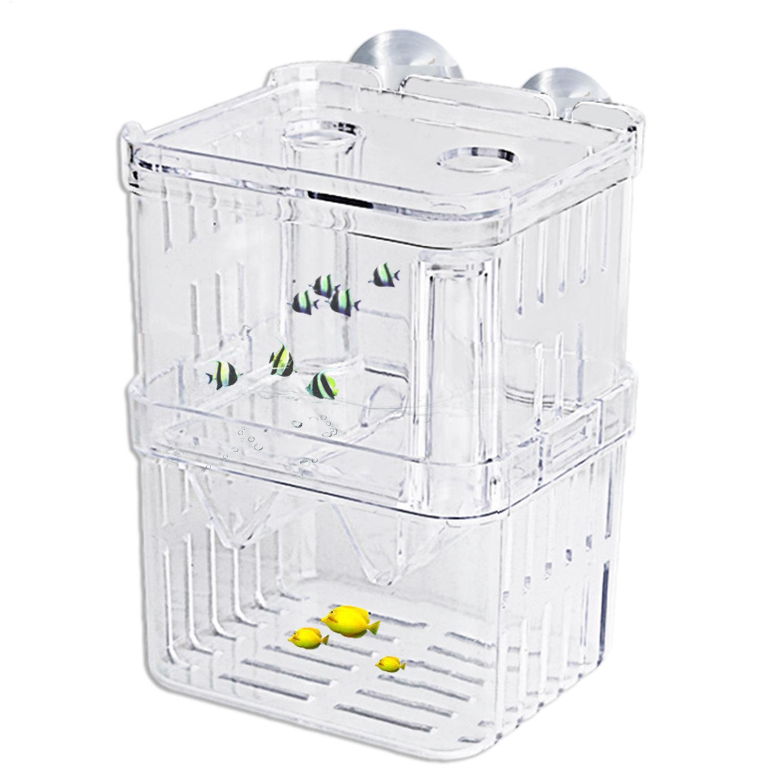 水槽用育成ボックス 透明魚隔離ボックス アクリル孵化場 イン - Aquarium Fish Jar のレビューと価格