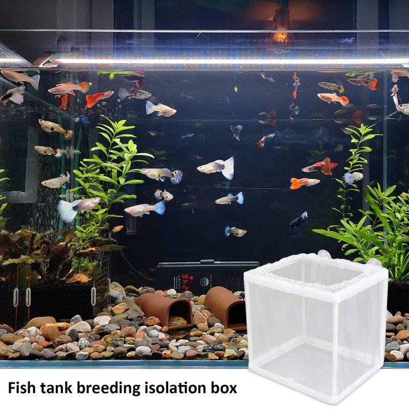 吸引付き魚飼育箱、水族館孵化器、メッシュボックス、稚魚分離ネ - Aquarium Fish Jar のレビューと価格