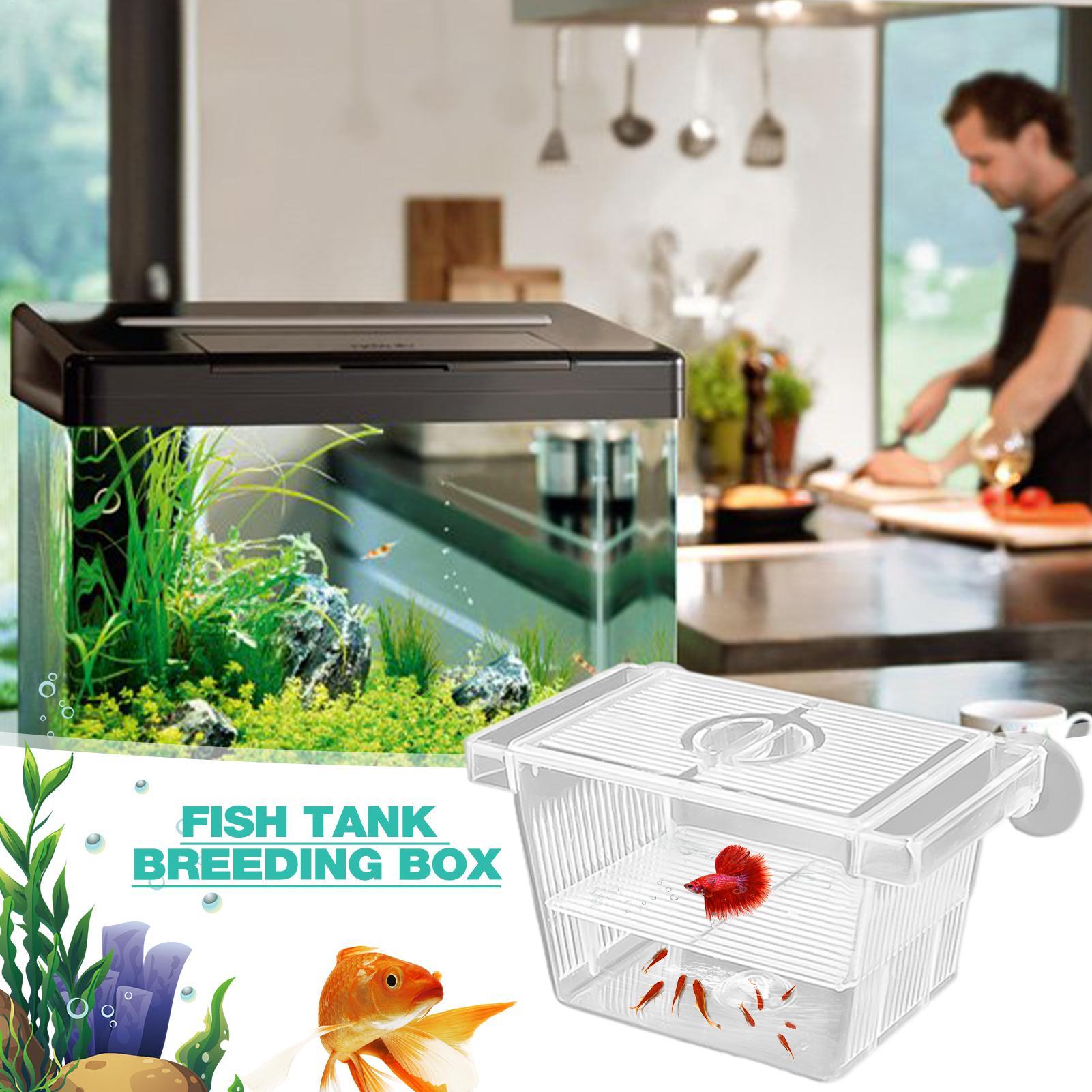 水槽孵化場アクリル隔離ボックス繁殖ボックス産卵装置インキュベ - Aquarium Fish Jar のレビューと価格