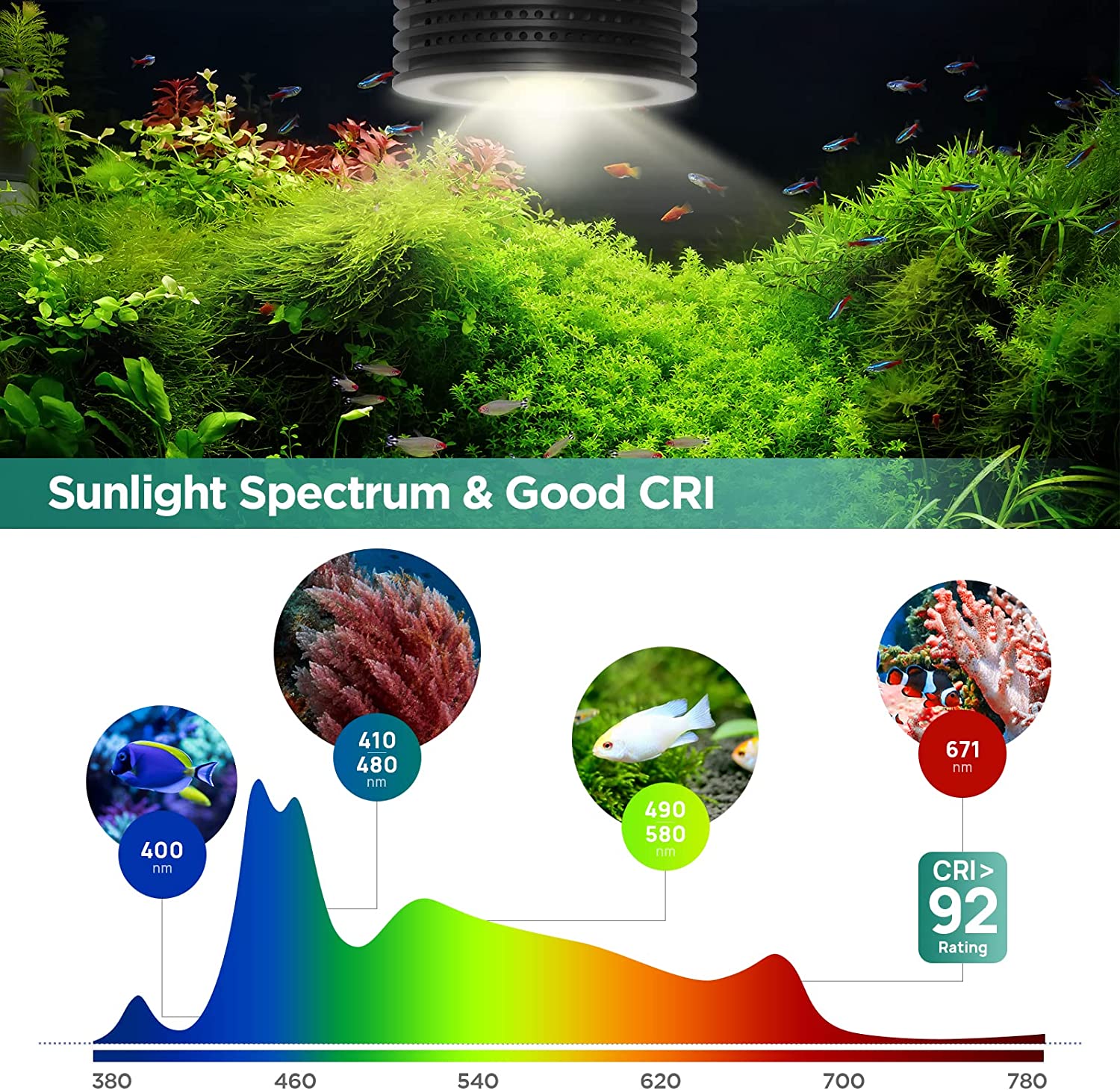 Lominie Asta 20 淡水 18 ワット RGBW - Refugium Light Nano のレビューと価格