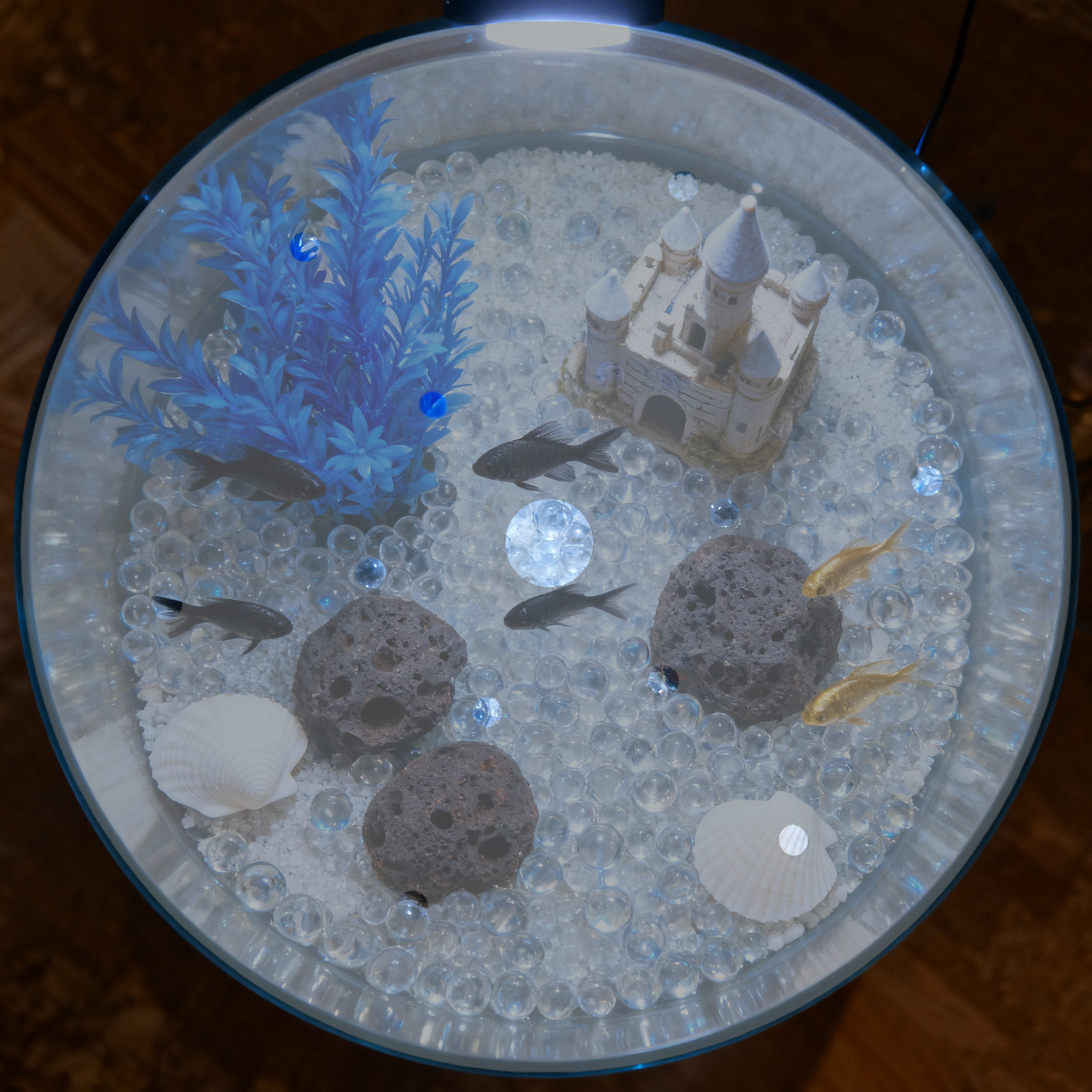 7 インチ丸型アクリル水槽カバー脱走防止蓋透明水槽保護プレー - Aquarium Fish Jar のレビューと価格