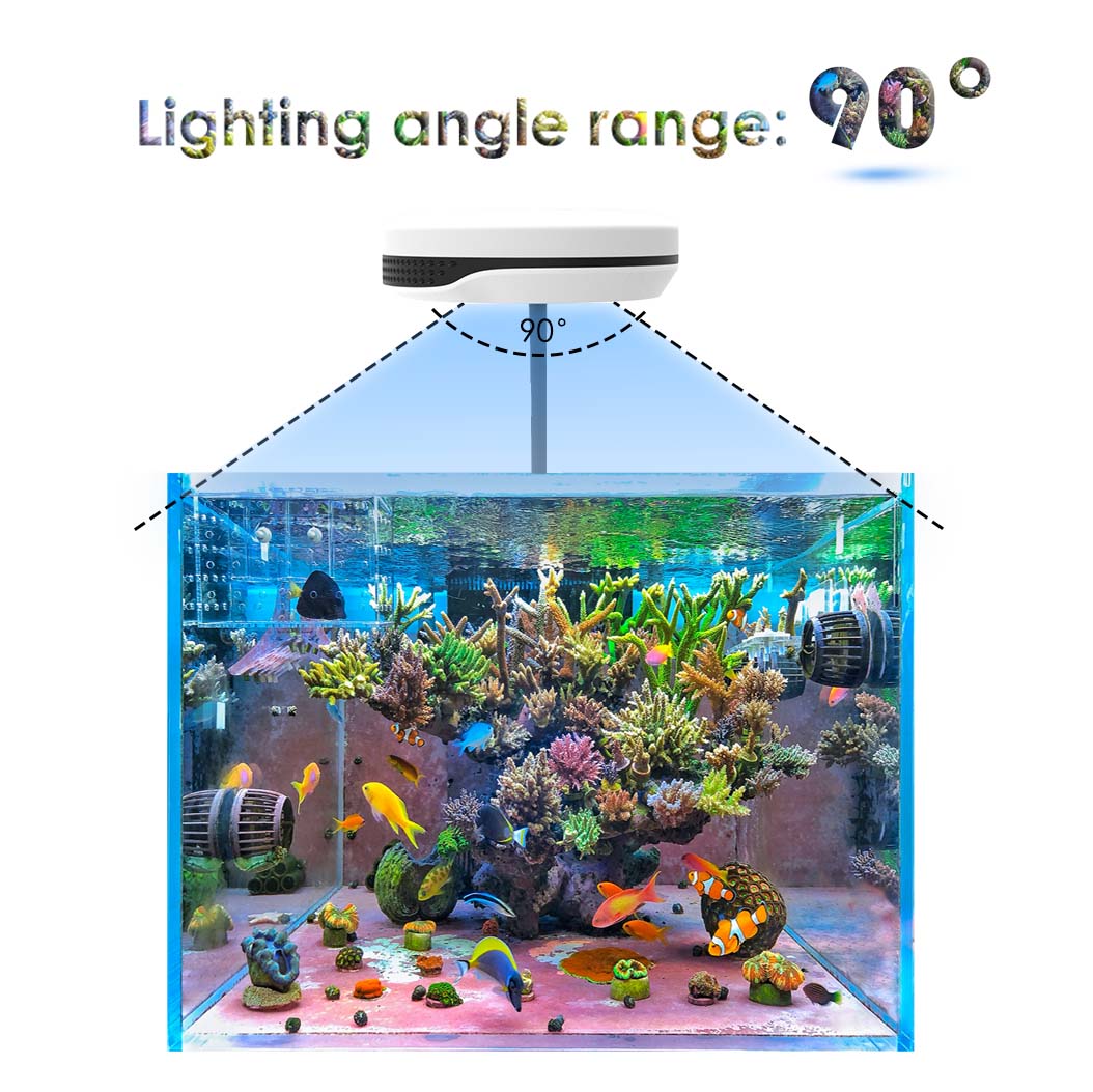 クリップ式20W LED水槽ライト Spectra Nano - Refugium Light Nano のレビューと価格